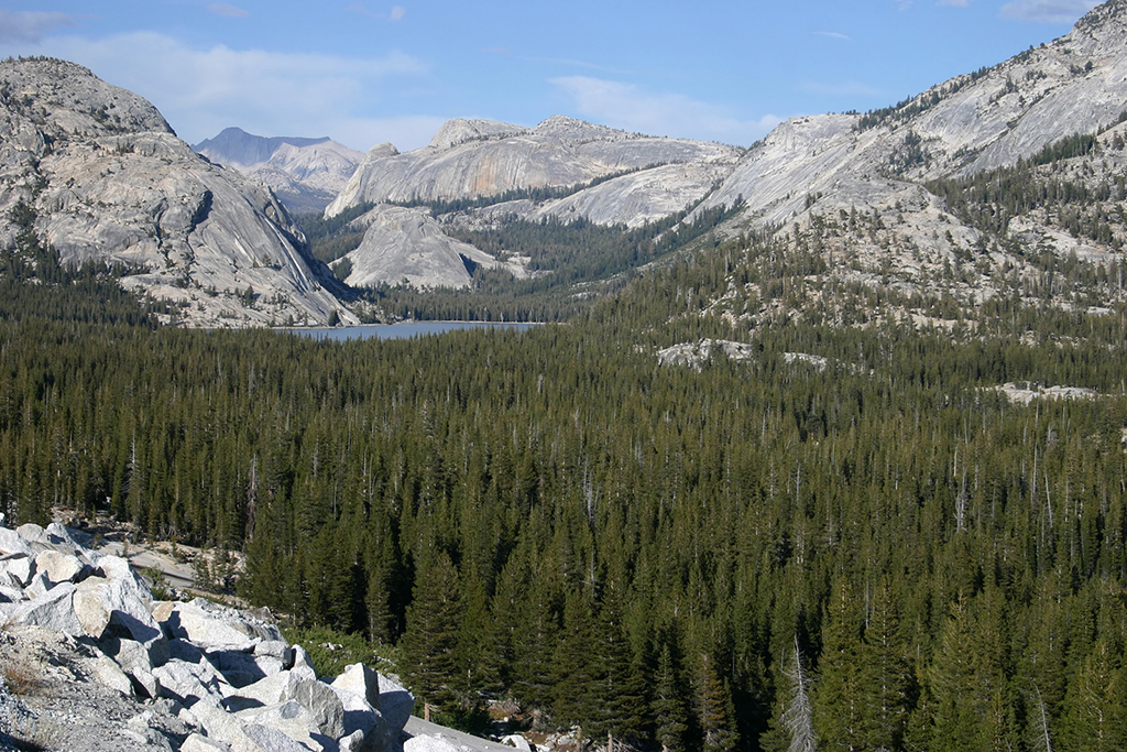 IMG_038.JPG - Yosemite National Park