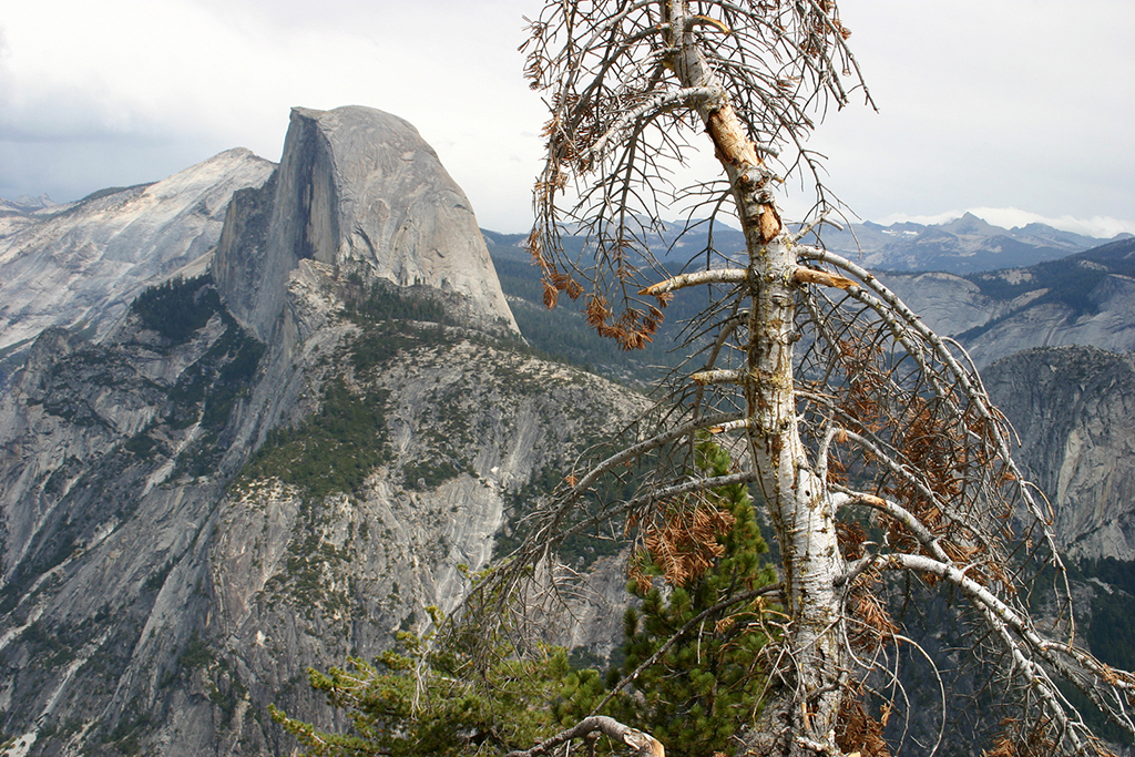 IMG_054.JPG - Yosemite National Park
