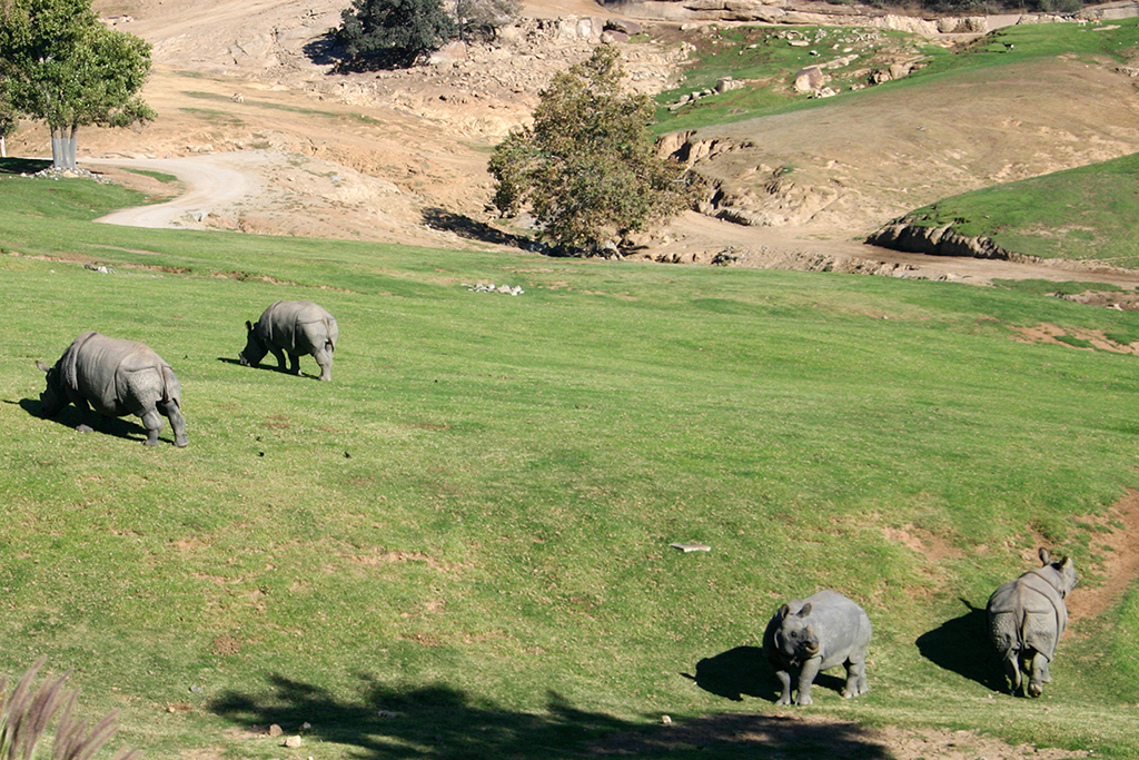 IMG_124.JPG - Wild Animal Park, San Diego