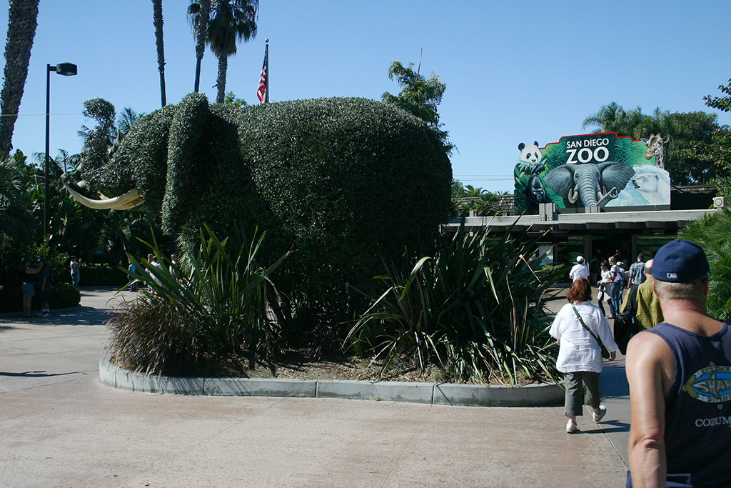 IMG_127.JPG - San Diego Zoo