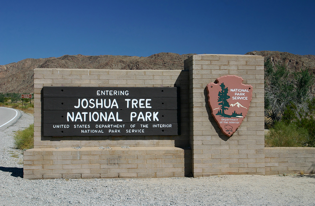IMG_146.JPG - Joshua Tree National Park