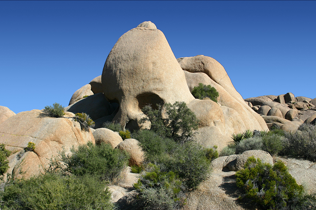 IMG_154.JPG - Skull Rock, Joshua Tree National Park