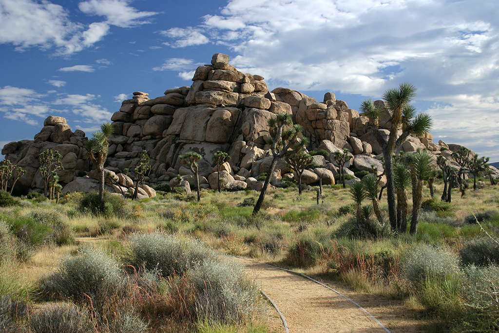 IMG_157.JPG - Hidden Valley, Joshua Tree National Park