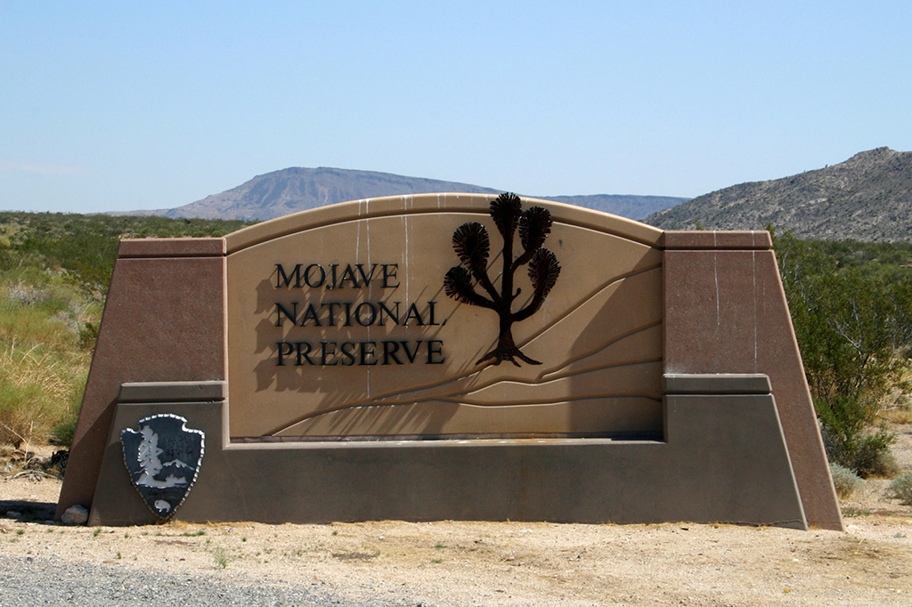 IMG_165.JPG - Mojave National Preserve