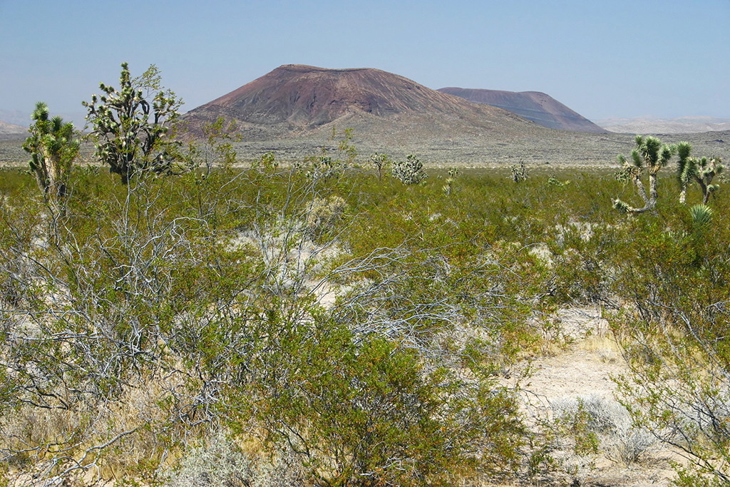 IMG_166.JPG - Mojave National Preserve