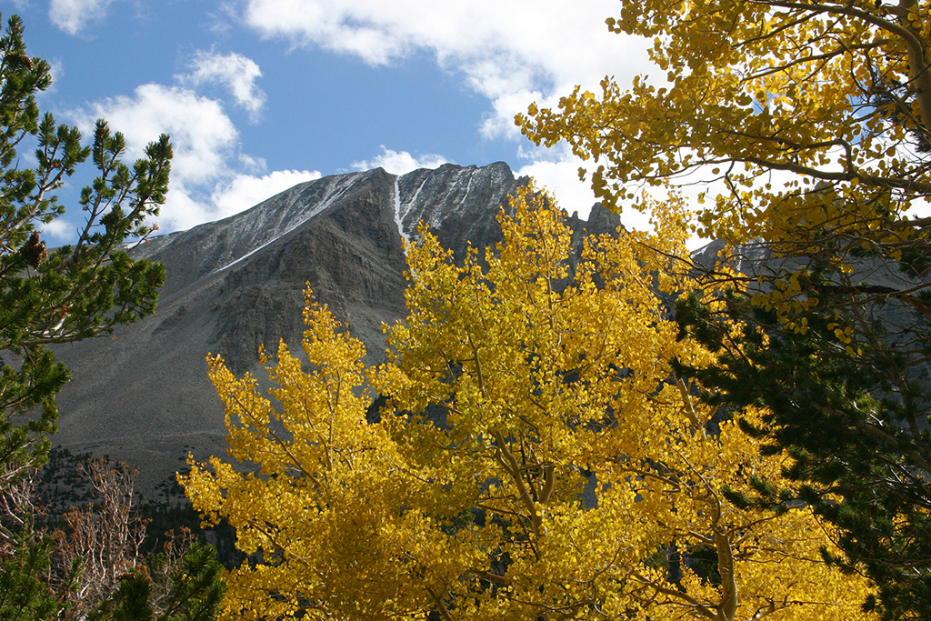 IMG_176.JPG - Great Basin National Park