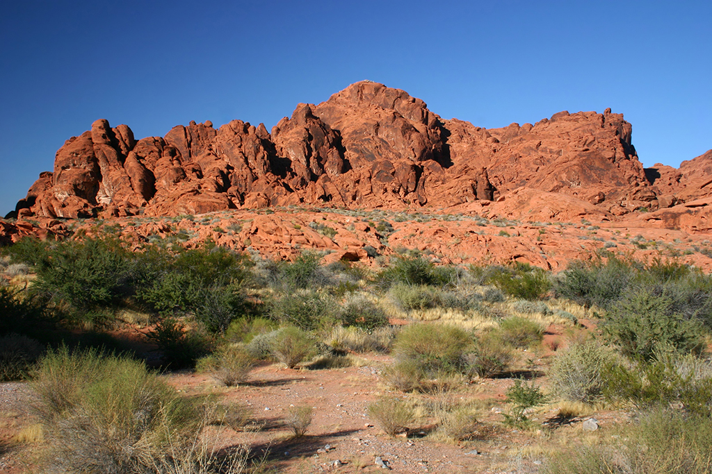 IMG_209.JPG - Valley of Fire State Park
