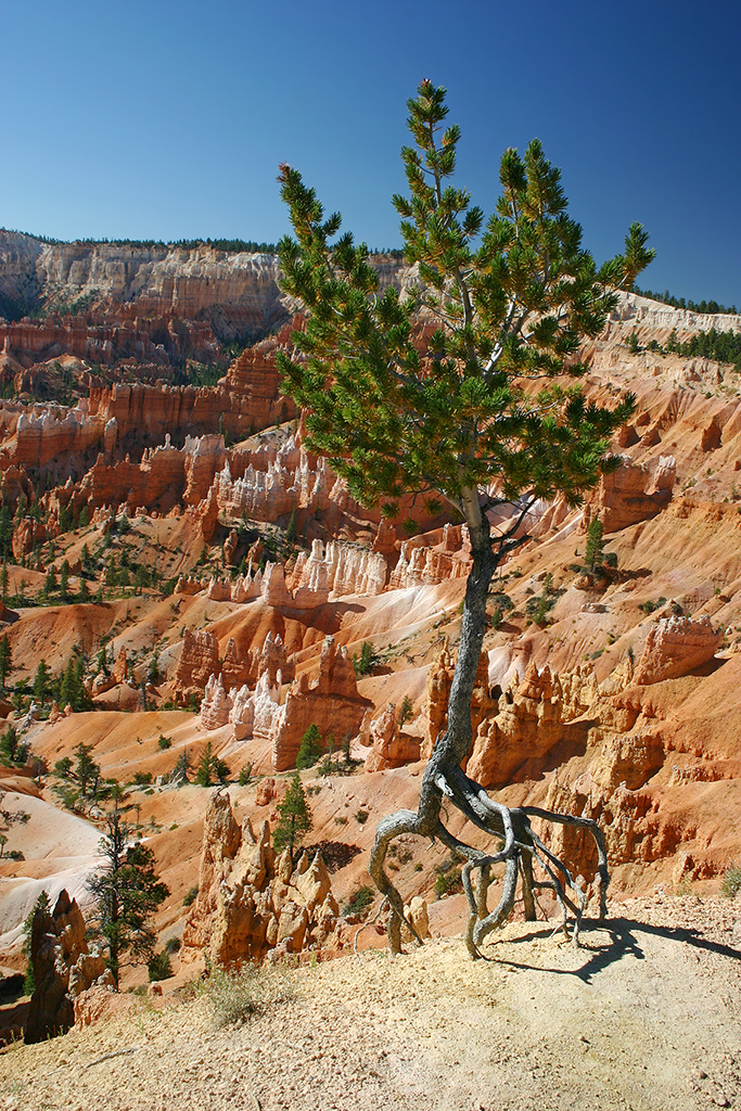 IMG_1303.JPG - Bryce Canyon National Park