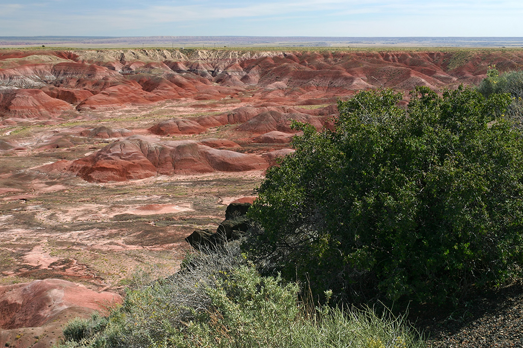 IMG_3419.JPG - Petrified Forest National Park