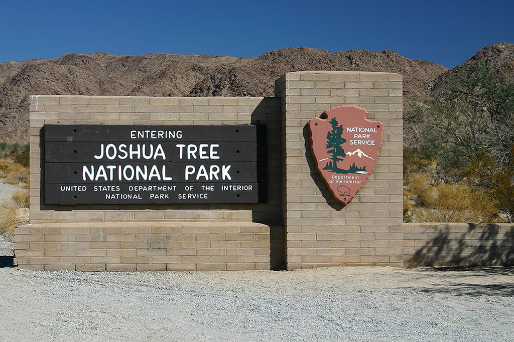 IMG_4995.JPG - Joshua Tree National Park