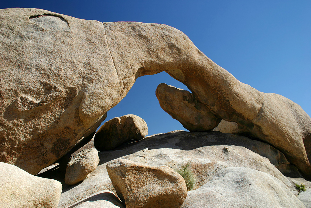 IMG_5038.JPG - Joshua Tree National Park