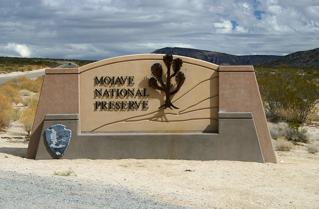 IMG_5187.JPG - Mojave National Preserve