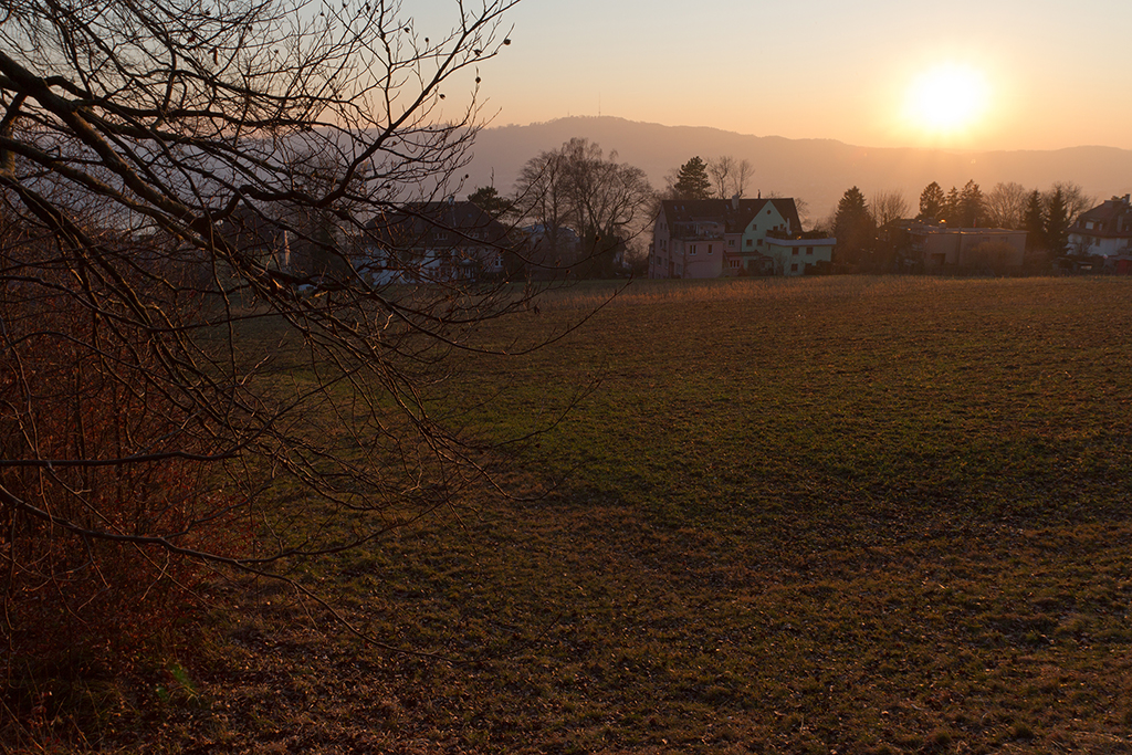 Freitagnachmittag_7.jpg