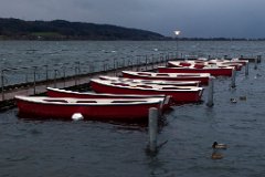 Greifensee_26