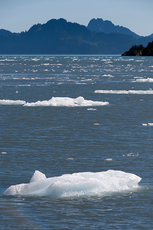 IMG_072.jpg - Holgate Glacier