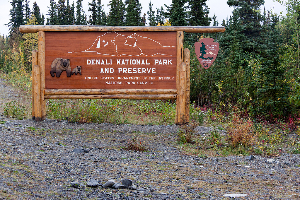 IMG_137.jpg - Denali National Park