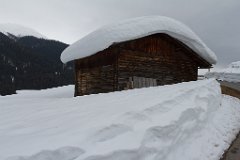 Davos_14