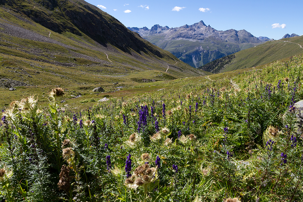 Engadin_Tag_1_27.jpg - Richtung Segantinihütte