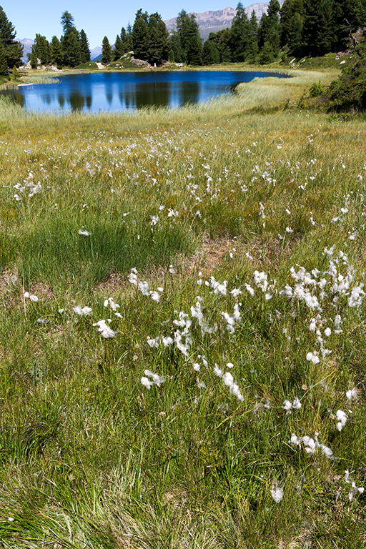 Engadin_Tag_2_22.jpg - Hahnensee