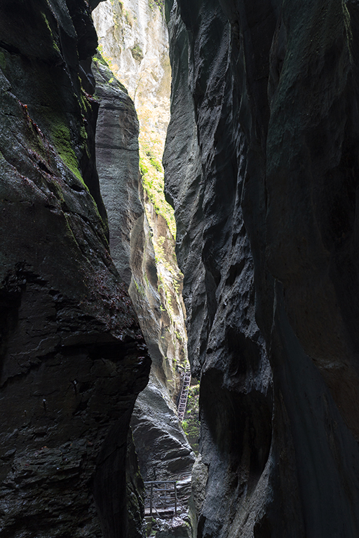 Schluchten_26.jpg - Aareschlucht