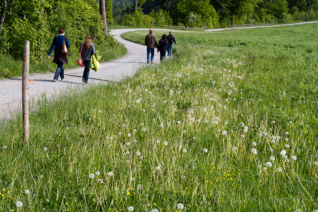 Üetliberg_23.jpg