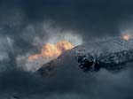 IMG_1486
