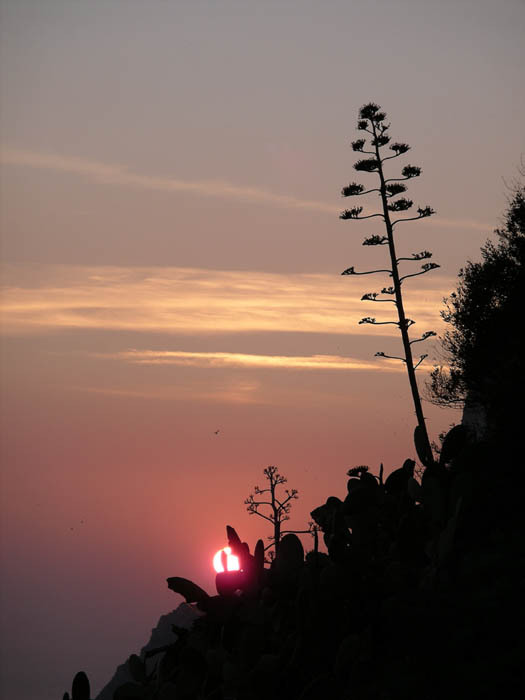 IMGP8102 Sunset in Capri