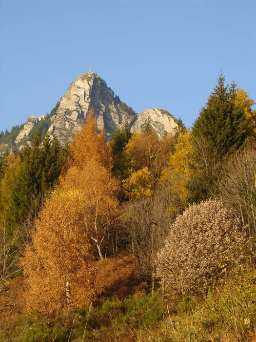 IMGP8715 Sassariente, the mountain behind our cabin