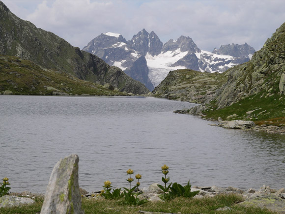 IMGP4463 In the Swiss National Park
