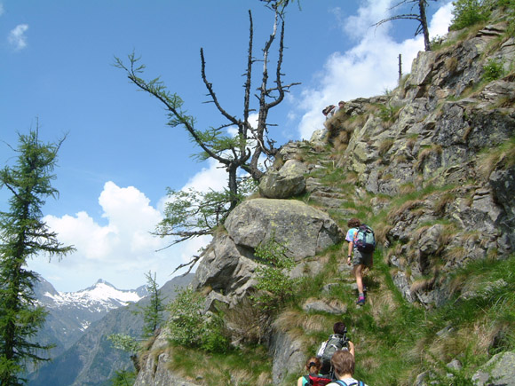IMGP5089 Old stairs allow to overcome the difficulties in Val Bavona, Ticino