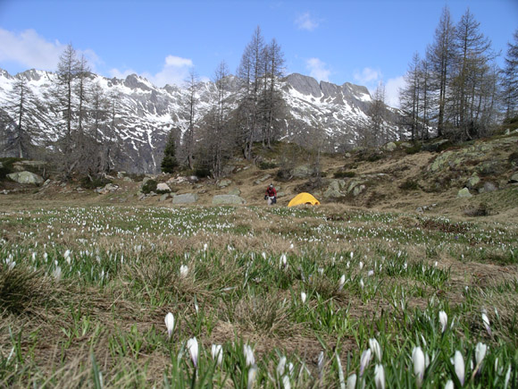 IMGP6266 Bivouac with some friends in Ticino