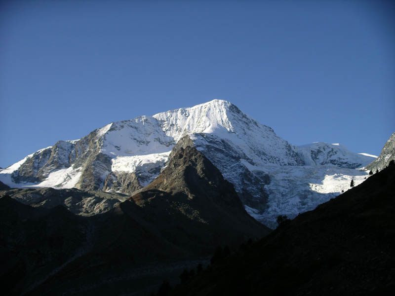 IMGP7645 Pignes d'Arolla