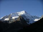 IMGP7645 Pignes d'Arolla