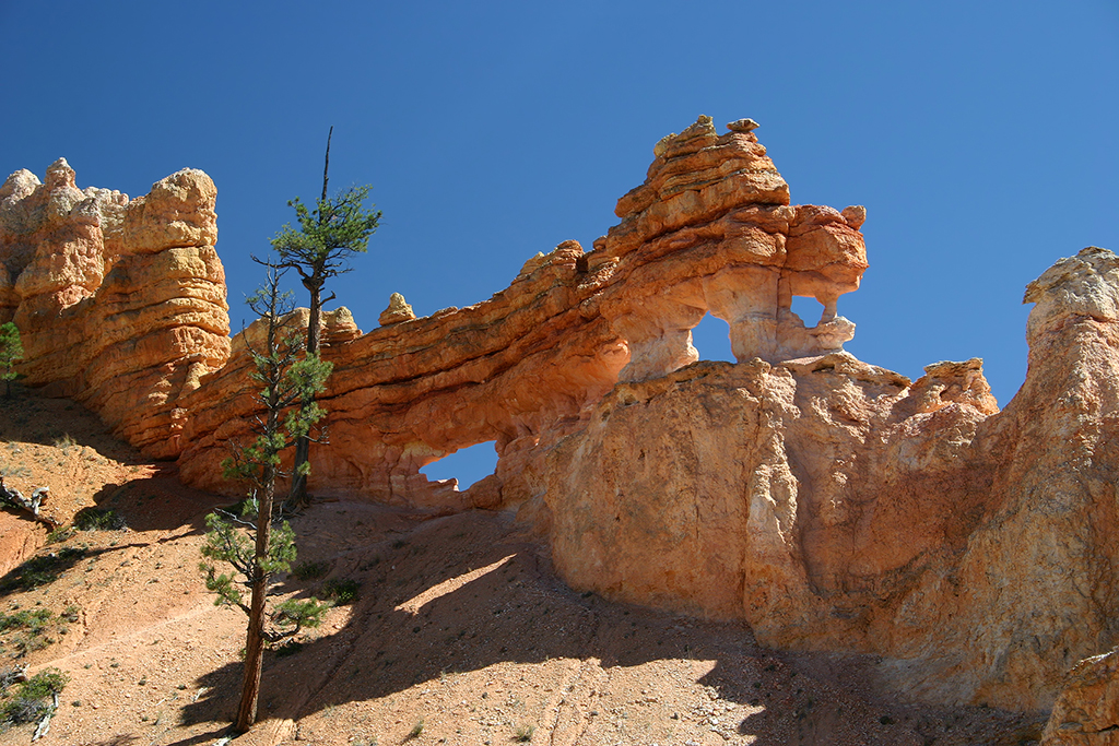 IMG_1354.JPG - Bryce Canyon National Park