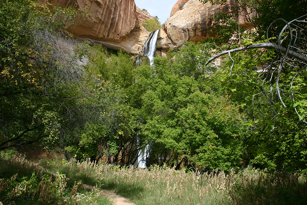 IMG_1629.JPG - Lower Calf Creek Falls