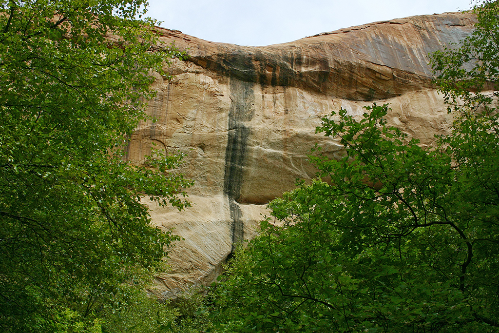 IMG_1655.JPG - Lower Calf Creek Falls