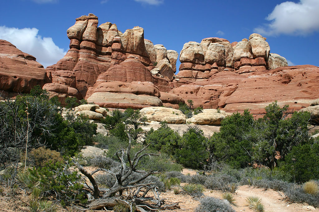 IMG_2028.JPG - Canyonlands National Park