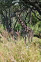 IMG_4450