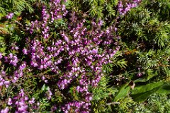 Engadin_Tag_2_19