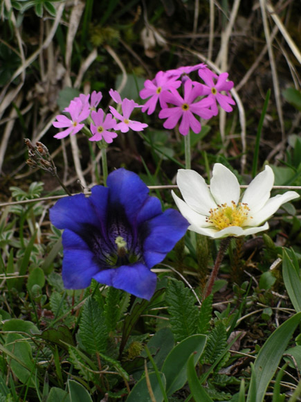 IMGP6391