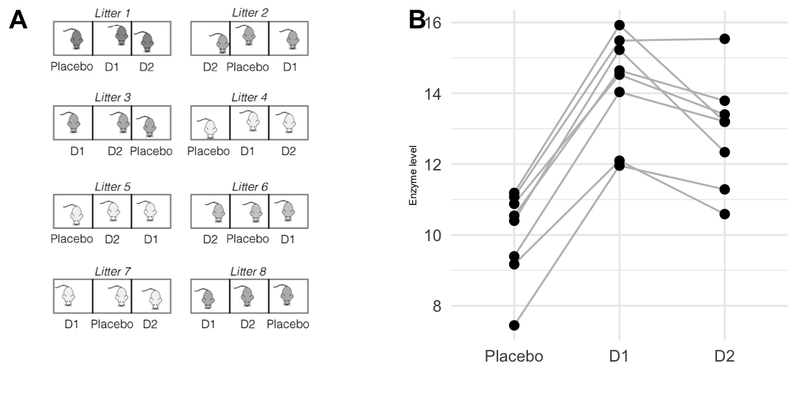 Comparing enzyme levels for placebo, D1, and D2 under low fat diet using randomized complete block design. A: data layout with eight litters of size three, treatments independently randomized in each block. B: observed enzyme levels for each drug; lines connect responses for mice from the same litter.