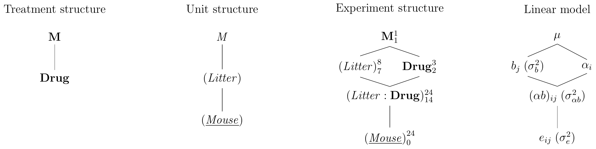 Randomized complete block design for determining effect of two different drugs and placebo using eight mice per drug and a single response measurement per mouse. Each drug occurs once per block and assignment to mice is randomized independently for each block.