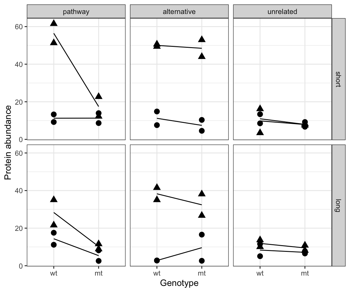 Data of proteomics experiment. Round point: placebo, triangle: drug treatment. Panels show typical protein scenarios in columns and waiting duration in rows.