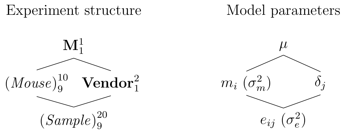 Paired design for estimating average enzyme level difference: 10 mice, each vendor assigned to one of two samples per mouse.