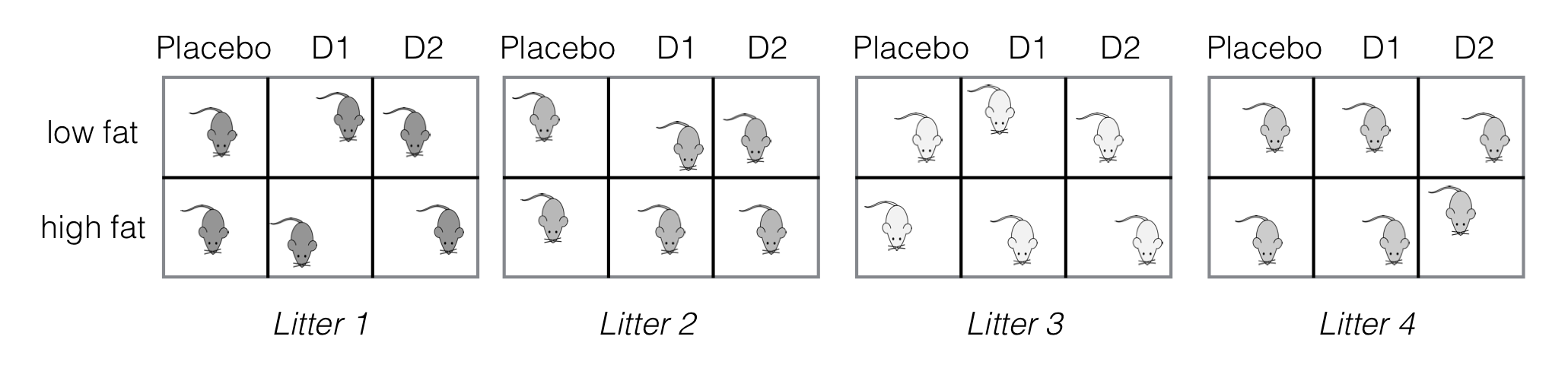 Experiment layout for three drugs under two diets, four litter blocks. Completely randomized design with two-way crossed treatment structure within each block.