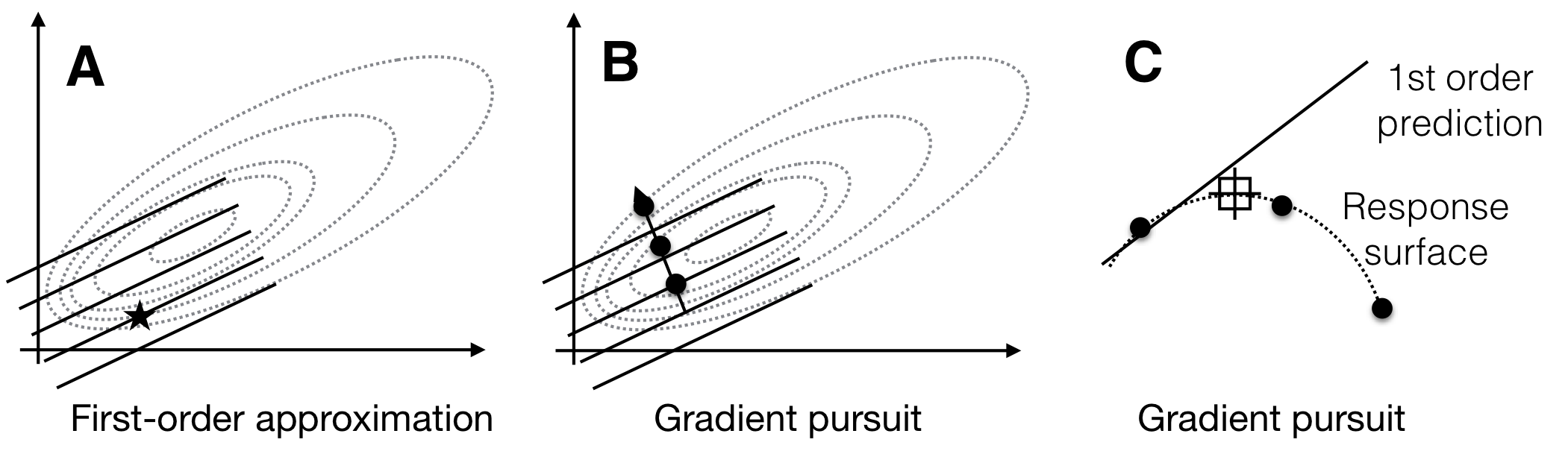 Sequential response surface experiment with first-order model. A: The first-order model (solid lines) build around a starting condition (star) approximates the true response surface (dotted lines) only locally. B: The gradient follows the increase of the plane and predicts indefinite increase in response. C: The first-order approximation (solid line) deteriorates from the true surface (dotted line) at larger distances from the starting condition, and the measured responses (points) start to decrease.