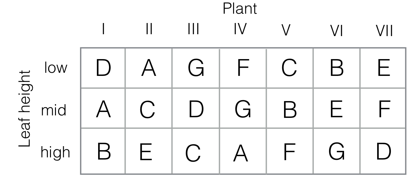 Experiment layout for Youden square. Seven plants are considered (I-VII), with seven different inoculation treatments (A-G). In each plant, three leafs at different heights (low/mid/high) are inoculated. Each inoculation occurs once at each height, and the assignment of treatments to plants forms a balanced incomplete block design.