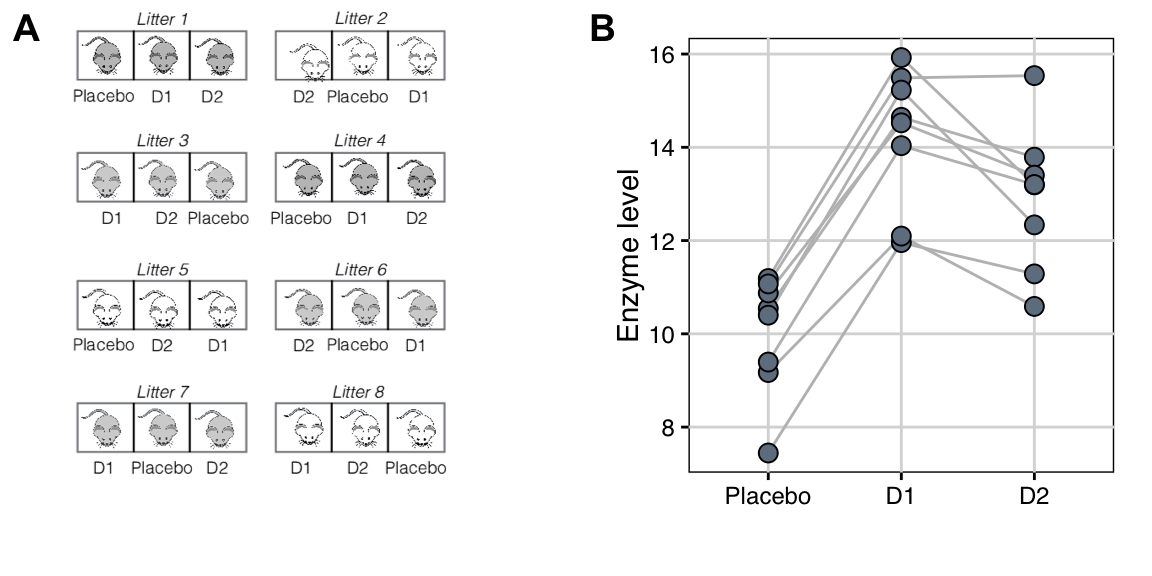 Comparing enzyme levels for placebo, D1, and D2 under low fat diet using randomized complete block design. A: Data layout with eight litters of size three, treatments independently randomized in each block. B: Observed enzyme levels for each drug; lines connect responses of mice from the same litter.