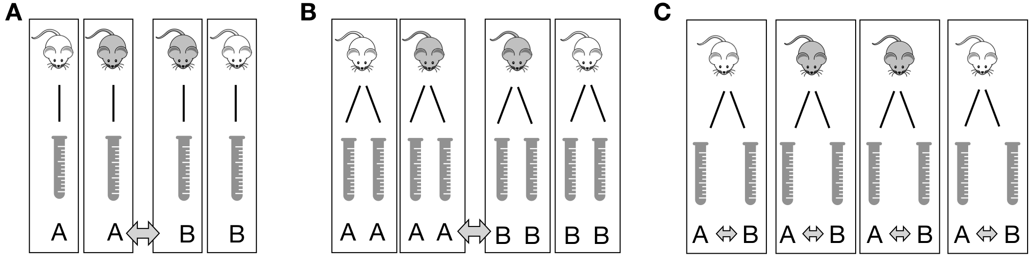 Three designs to determine the difference between two preparation kits A and B based on four mice. A: One sample per mouse. Comparison between averages of samples with same kit. B: Two samples per mouse treated with the same kit. Comparison between averages of mice with same kit requires averaging responses for each mouse first. C: Two samples per mouse each treated with different kit. Comparison between two samples of each mouse, with differences averaged.