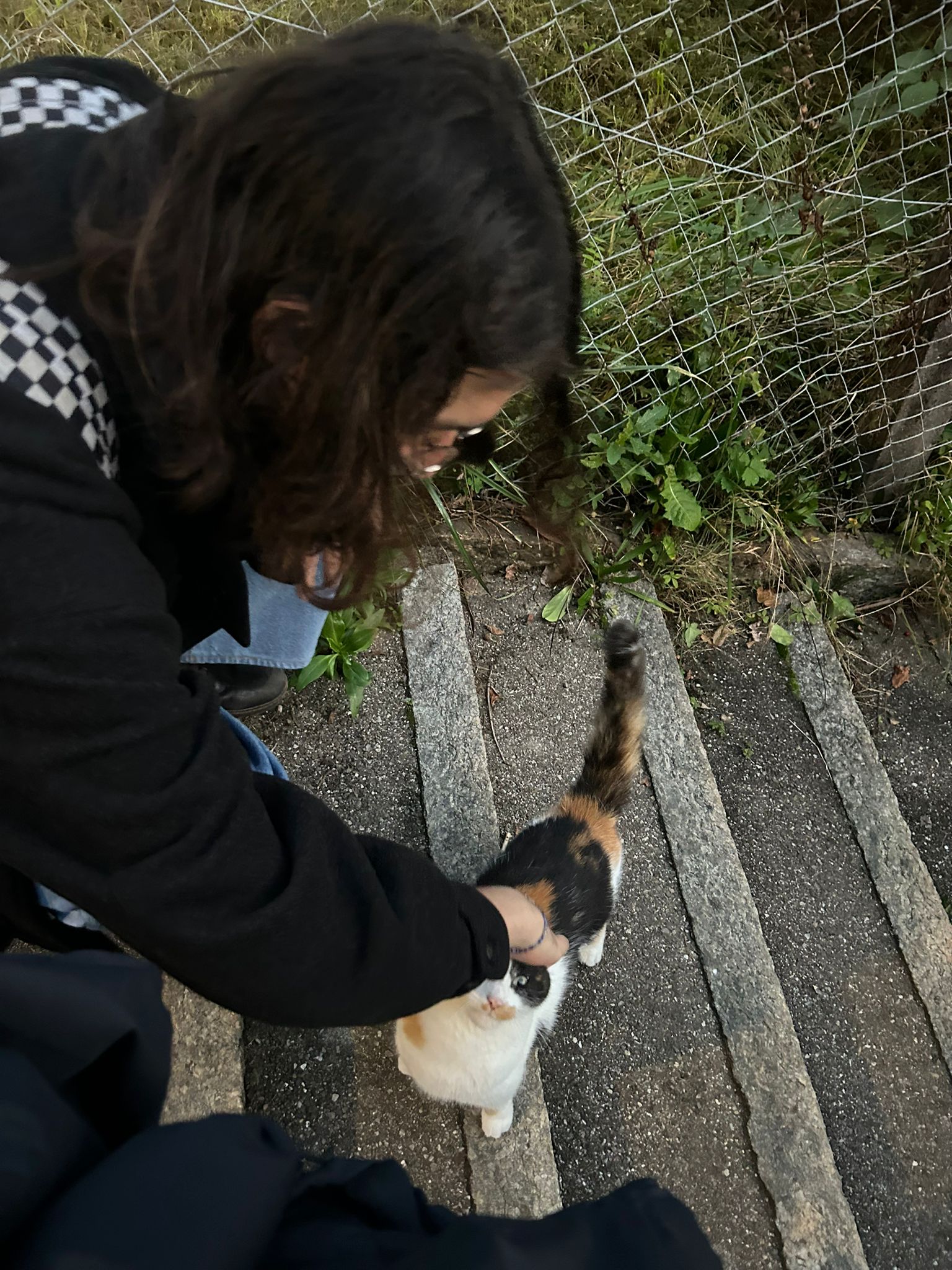 Me petting a small calico cat on a stair. It seems very excited to be there.